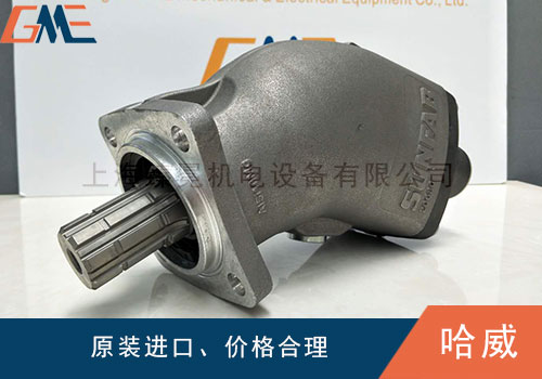 HAWE哈威液壓泵會出現(xiàn)哪些故障，如何解決？