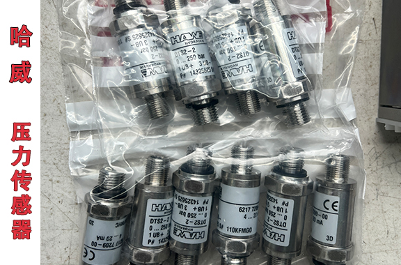 海上風電-哈威DTS 2-2壓力傳感器